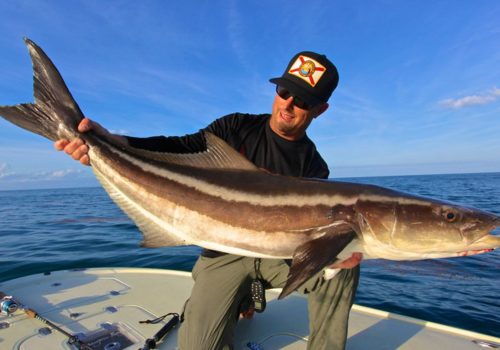 Cobia fish catch on fishing yacht Abu Dhabi
