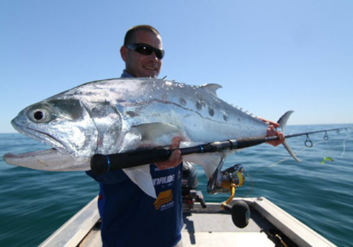 Queen fish caught on fishing boat Abu Dhabi
